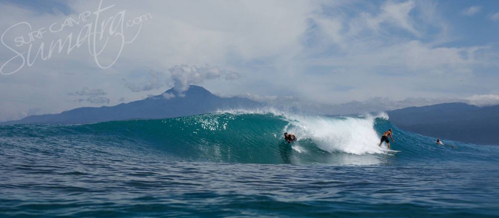surf krui